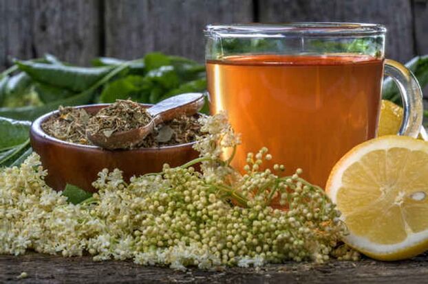 herbal tea for the prevention of parasites