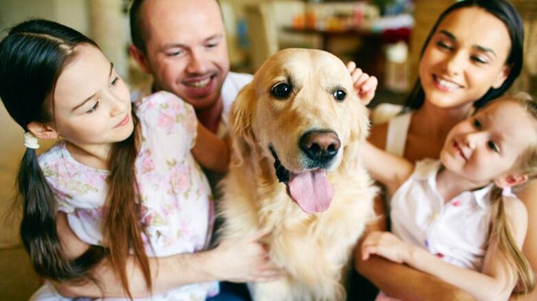 dog in the house as a seller of worms