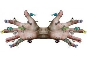 microbes are parasites on human hands