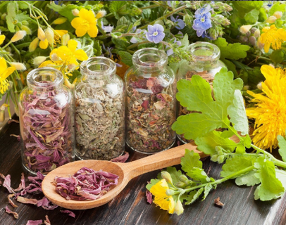 Anti-parasitic herbs to remove worms