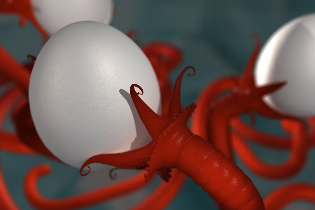 parasite of human worms